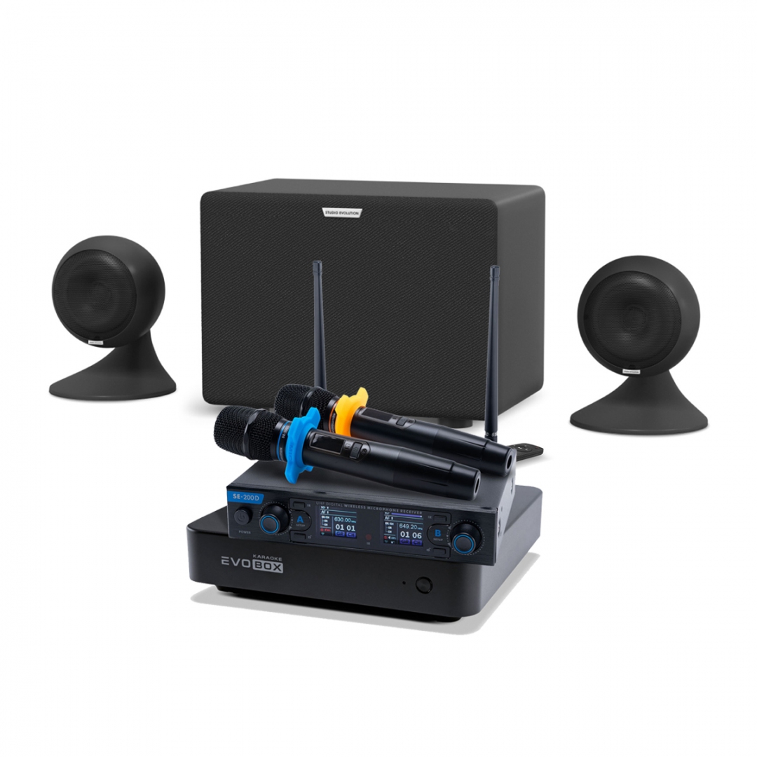 караоке-комплект EVOBOX + EvoSound Sphere 2.1 в Домодедово