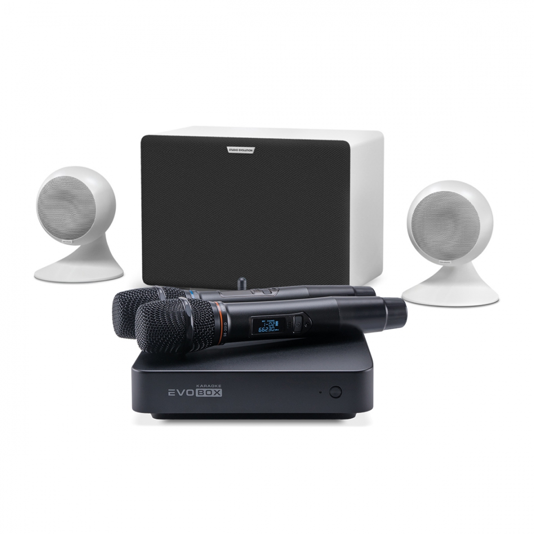 караоке-комплект EVOBOX Classic + EvoSound Sphere 2.1 в Домодедово