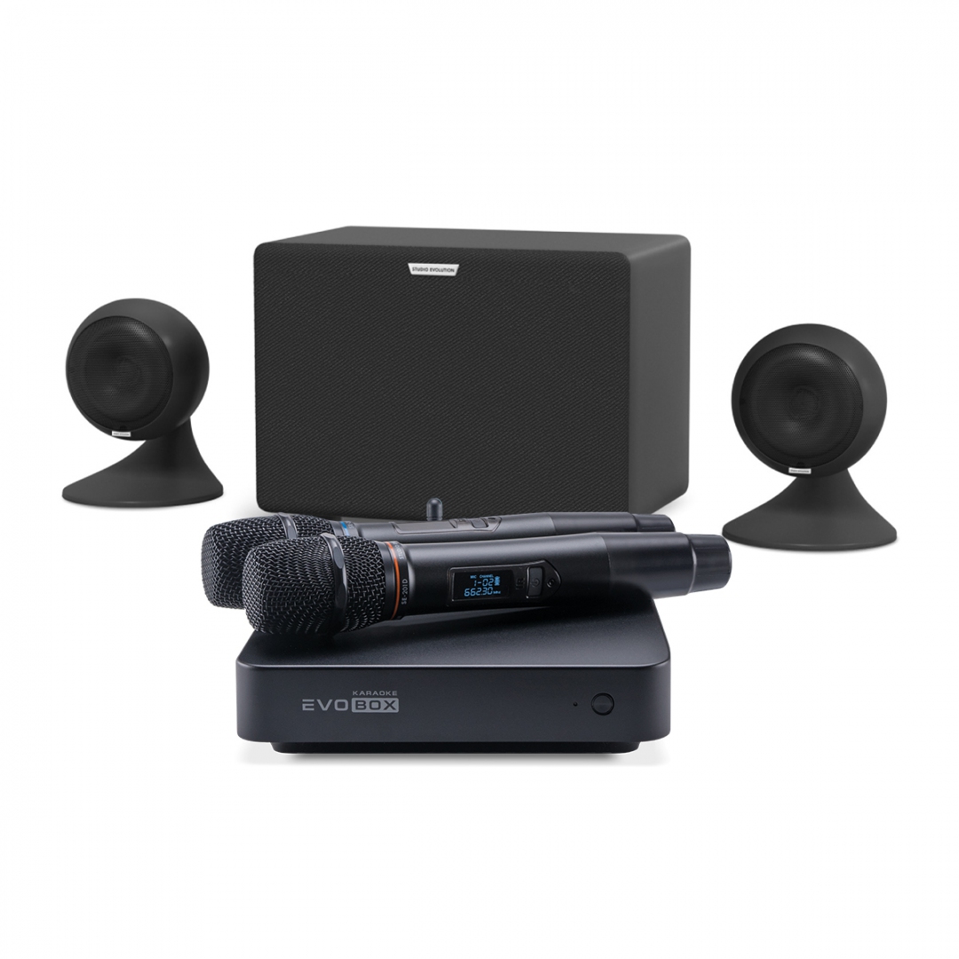 караоке-комплект EVOBOX Plus + EvoSound Sphere 2.1 в Домодедово
