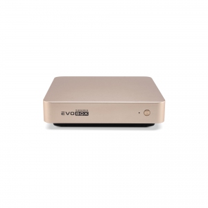 EVOBOX с микрофонами в Домодедово