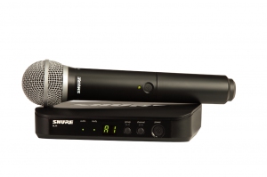 SHURE BLX24E/PG58 M17 вокальная радиосистема в Домодедово
